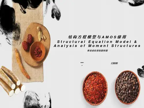 结构方程模型与AMOS使用