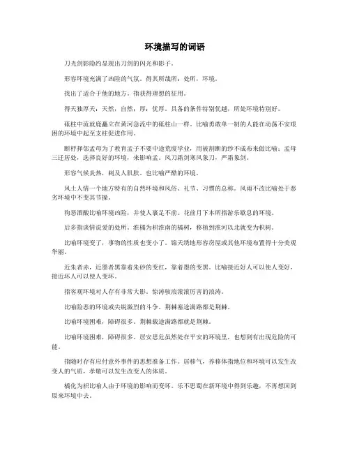 环境描写的词语