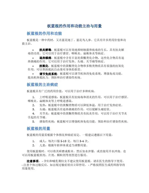 板蓝根的作用和功能主治与用量