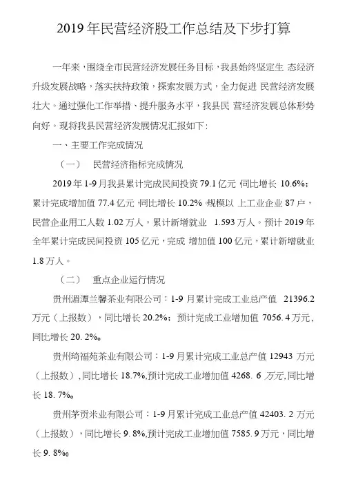 2019年民营经济工作总结及下步打算
