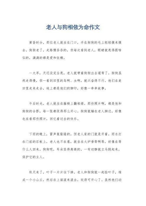 老人与狗相依为命作文
