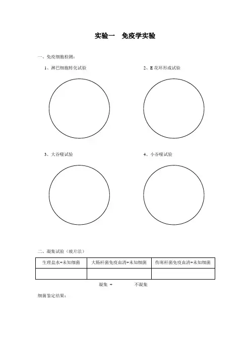 免疫学实验报告