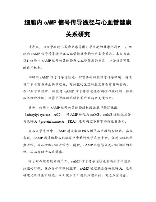 细胞内cAMP信号传导途径与心血管健康关系研究