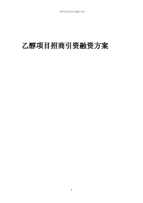 2023年乙醇项目招商引资融资方案