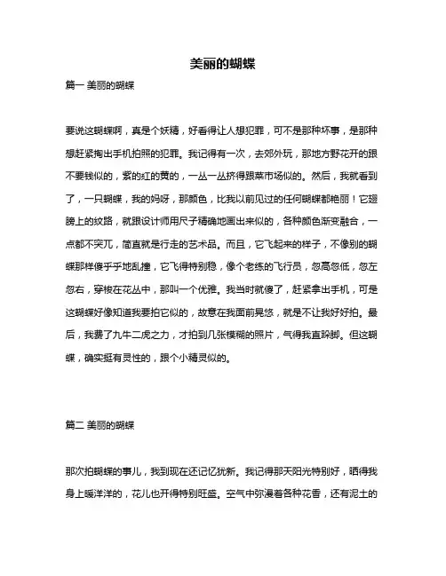 作文《美丽的蝴蝶》