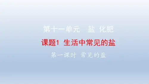11.1 生活中的盐 (课时1)-人教版九年级下册化学课件(共15张PPT)