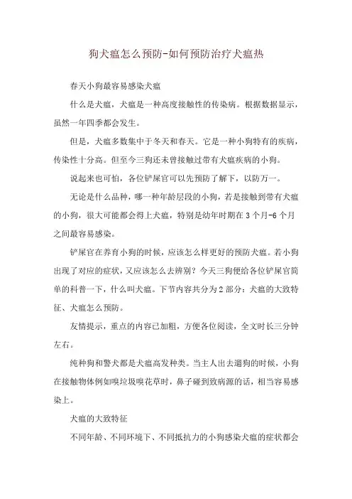 狗犬瘟怎么预防-如何预防治疗犬瘟热