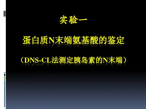 01 实验一  蛋白质N末端氨基酸的鉴定(二甲氨基萘磺酰氯,DNS-Cl,胰岛素)