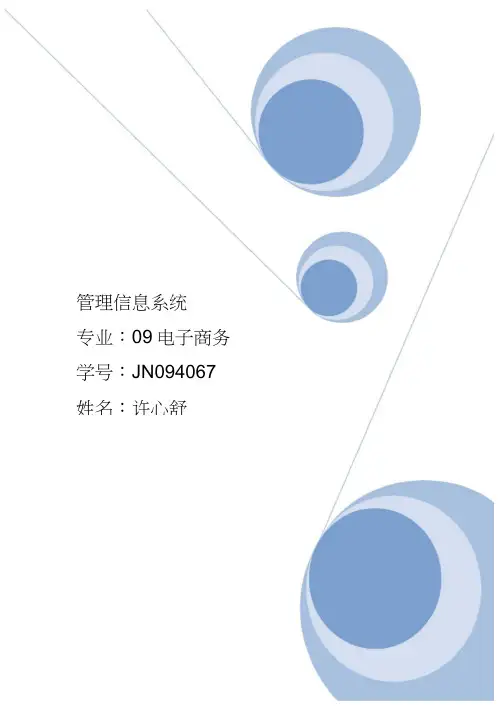 管理信息系统综述