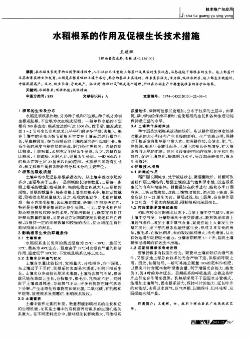 水稻根系的作用及促根生长技术措施