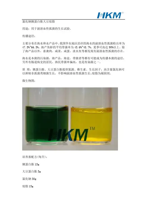 食品中副溶血性弧菌检测方法
