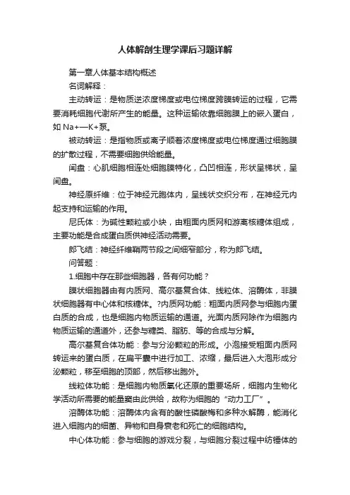 人体解剖生理学课后习题详解