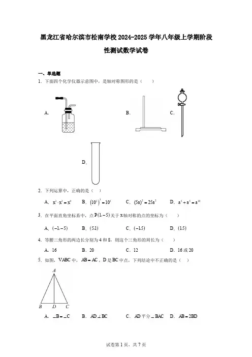 黑龙江省哈尔滨市松南学校2024-2025学年八年级上学期阶段性测试数学试卷