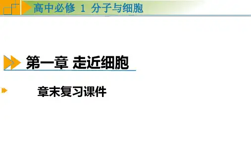 第1章 走近细胞(单元复习课件)高一生物(人教版2019必修1)