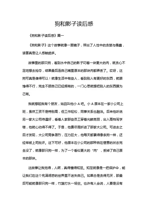 狗和影子读后感
