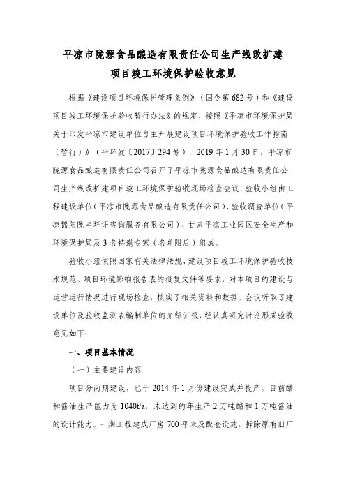 项目竣工环境保护验收意见