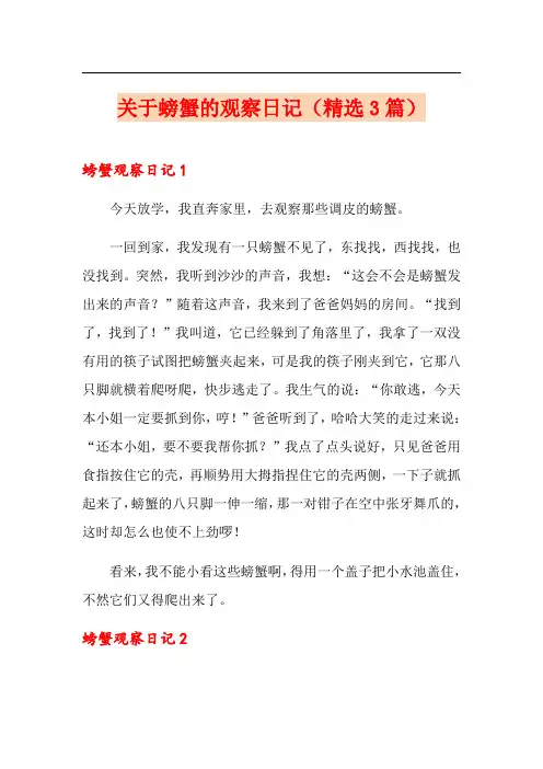 关于螃蟹的观察日记(精选3篇)