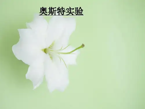 电流的磁效应PPT教学课件