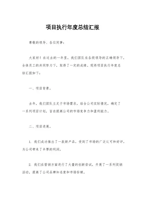 项目执行年度总结汇报