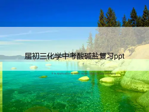 初三化学中考酸碱盐复习ppt