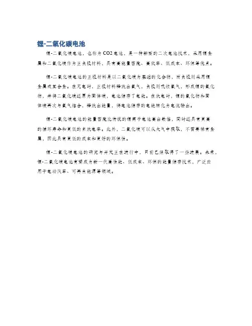 锂-二氧化碳电池