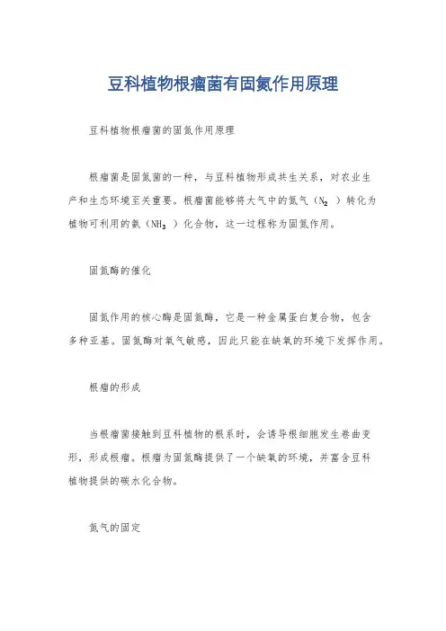 豆科植物根瘤菌有固氮作用原理