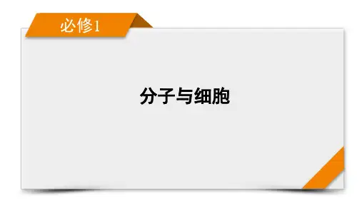 第4单元 微专题 减数分裂与可遗传变异的关系分析