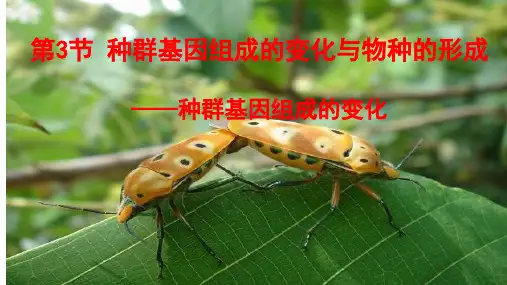 (新教材)高中生物《种群基因组成的变化与物种的形成》PPT名师课件人教版1