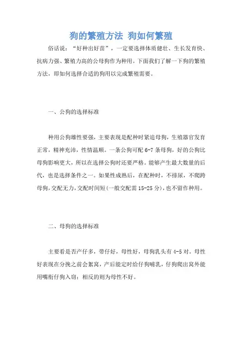 狗的繁殖方法 狗如何繁殖