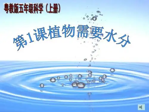粤教粤科版小学五年级科学上册全套PPT课件
