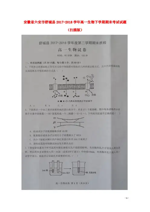 安徽省六安市舒城县2017-2018学年高一生物下学期期末考试试题 精品