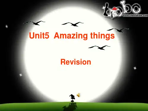 牛津译林版七下英语课件Unit5Amazingthingsrevision(共24张PPT)
