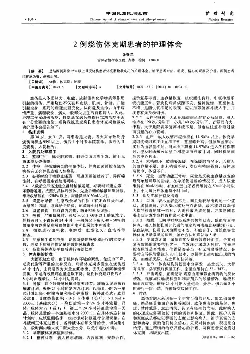 2例烧伤休克期患者的护理体会