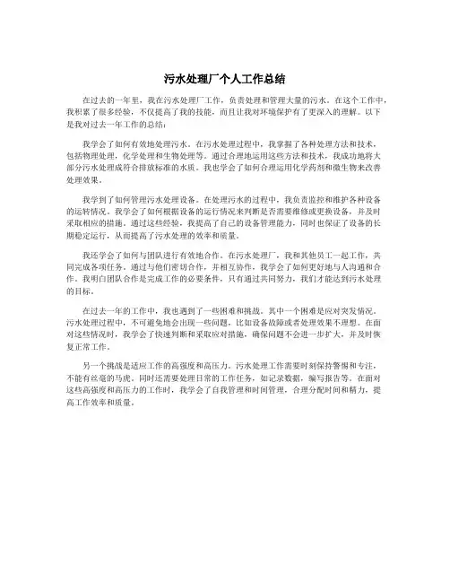 污水处理厂个人工作总结