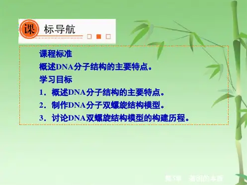 高中生物必修二第三章基因本质3-2(共45张PPT)
