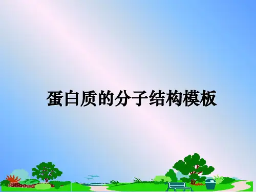 【精编】蛋白质的分子结构模板PPT课件
