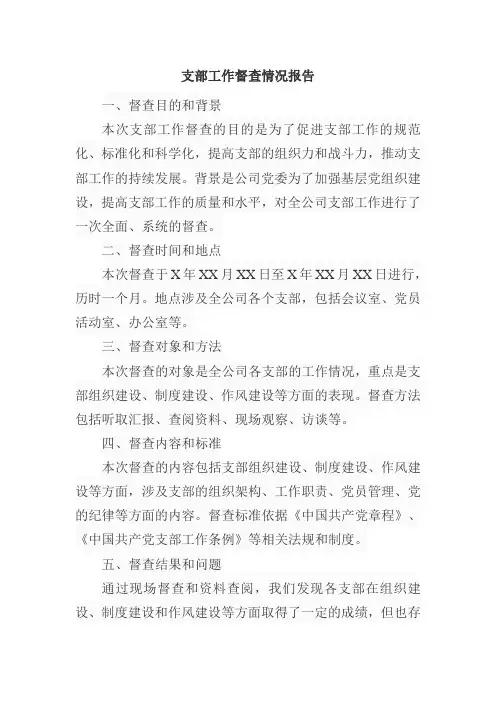 支部工作督查情况报告