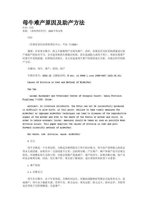 母牛难产原因及助产方法