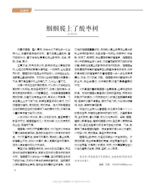 蝈蝈爬上了酸枣树