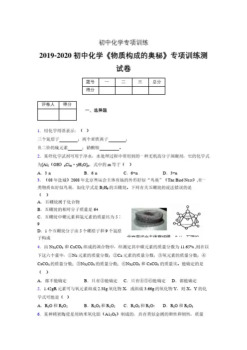 (中考)《物质构成的奥秘》专项训练模拟测试(含答案)  (114)