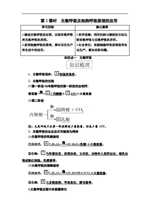 2020-2021学年  高中生物新人教版  必修一 5.3第2课时 无氧呼吸及细胞呼吸原理的应用 教案