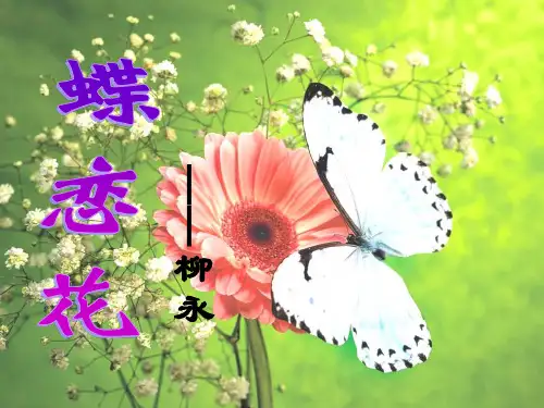 初中八年级语文柳永《蝶恋花》课件1全篇