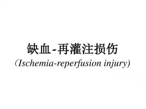 缺血-再灌注损伤Ischemia-reperfusioninjury