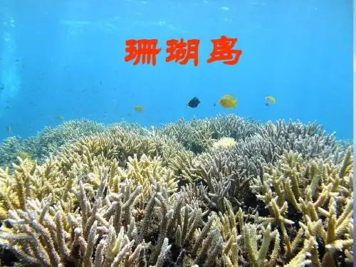 2017年秋八年级语文上册第二单元比较探究珊瑚岛课件北师大版