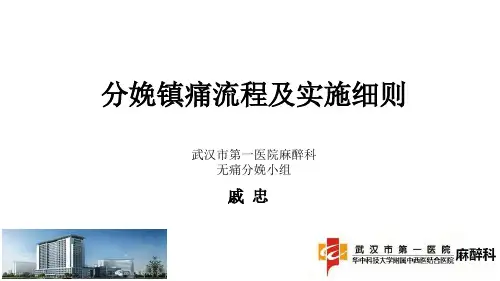 分娩镇痛流程细则图文ppt课件