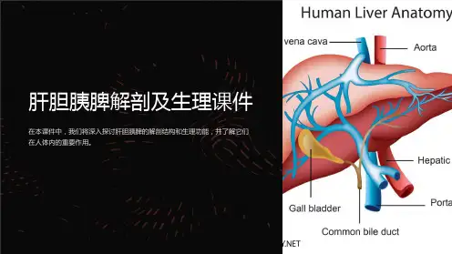 肝胆胰脾解剖及生理课件