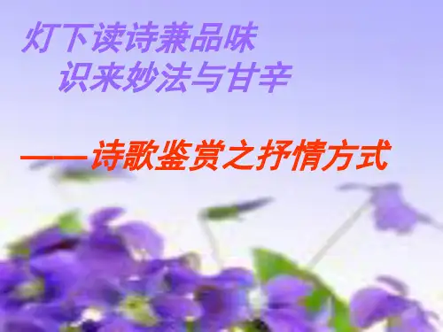 抒情方式用