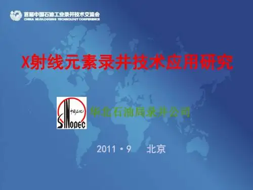 04 元素录井技术应用研究