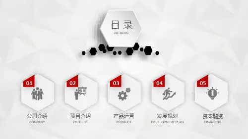融资路演专用PPT模板
