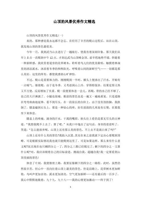 山顶的风景优秀作文范文精选
